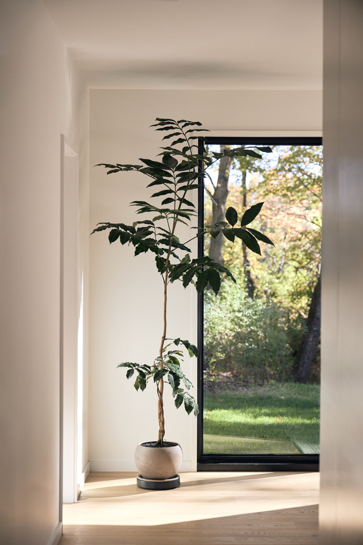 JoanHeatonArchitects_Weybridge-Renovation-Addition_Large-Format-Glazing