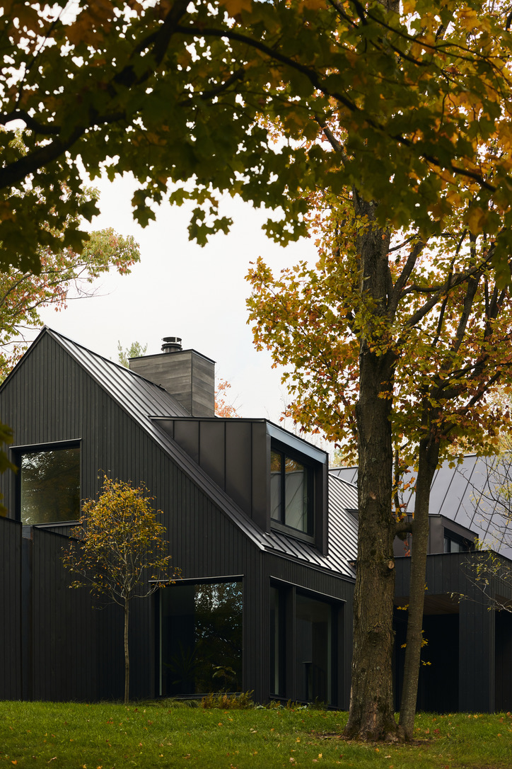 JoanHeatonArchitects_Weybridge-Renovation-Addition_Exterior_Modern-Dormers